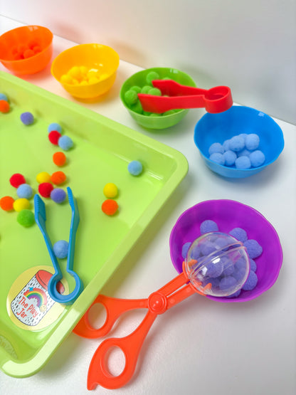 Rainbow Pom Pom Sorting Set