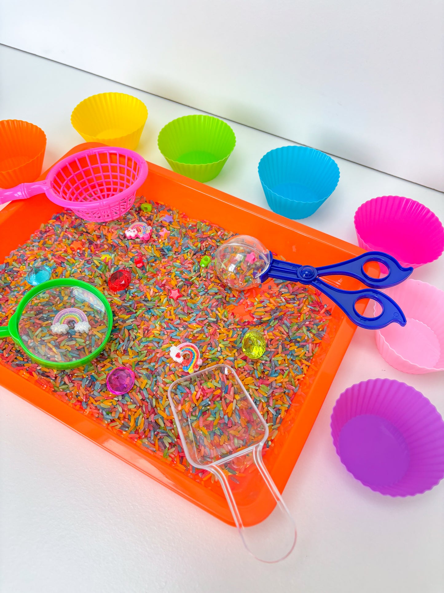Rainbow Rice Set