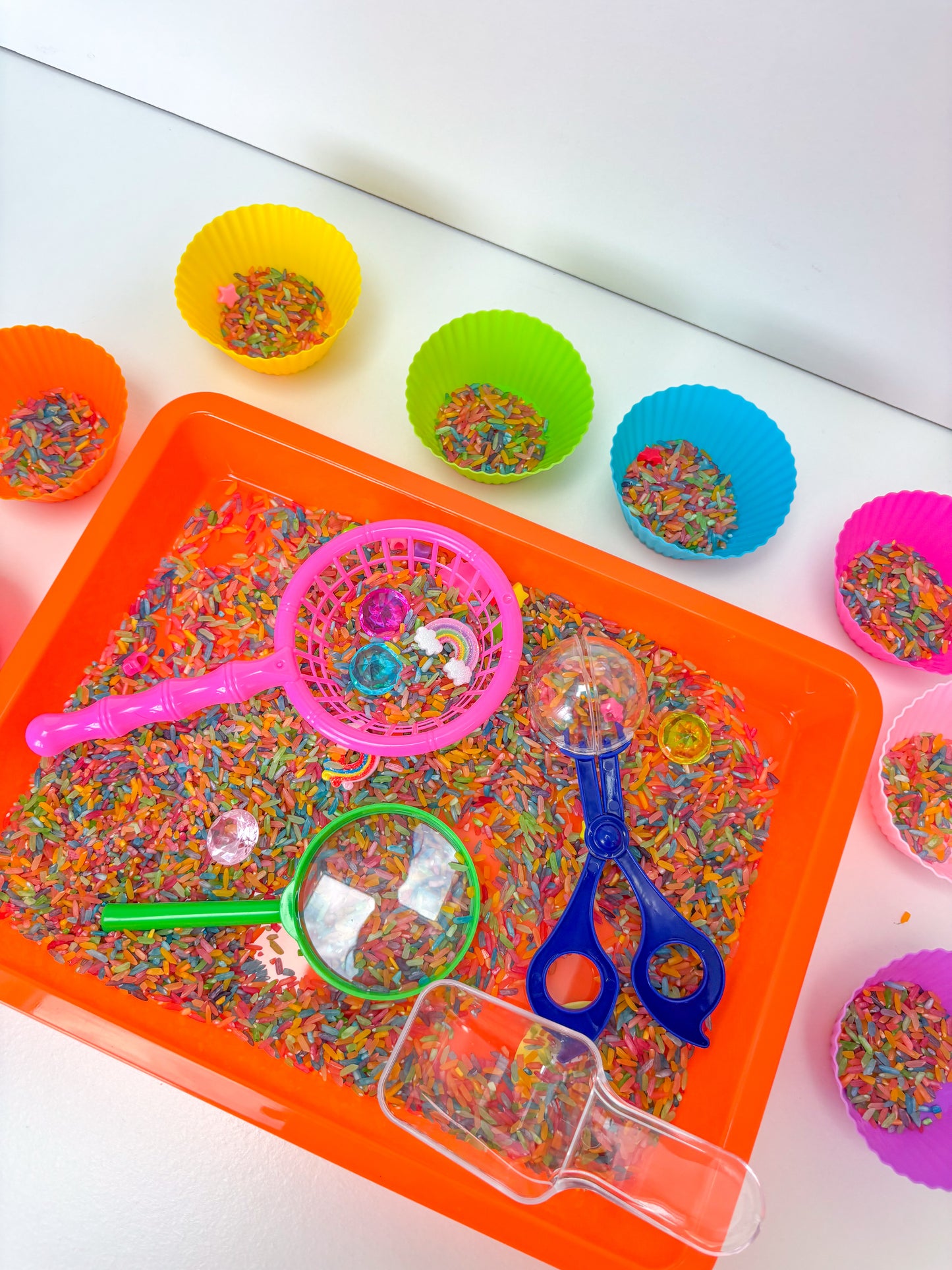 Rainbow Rice Set