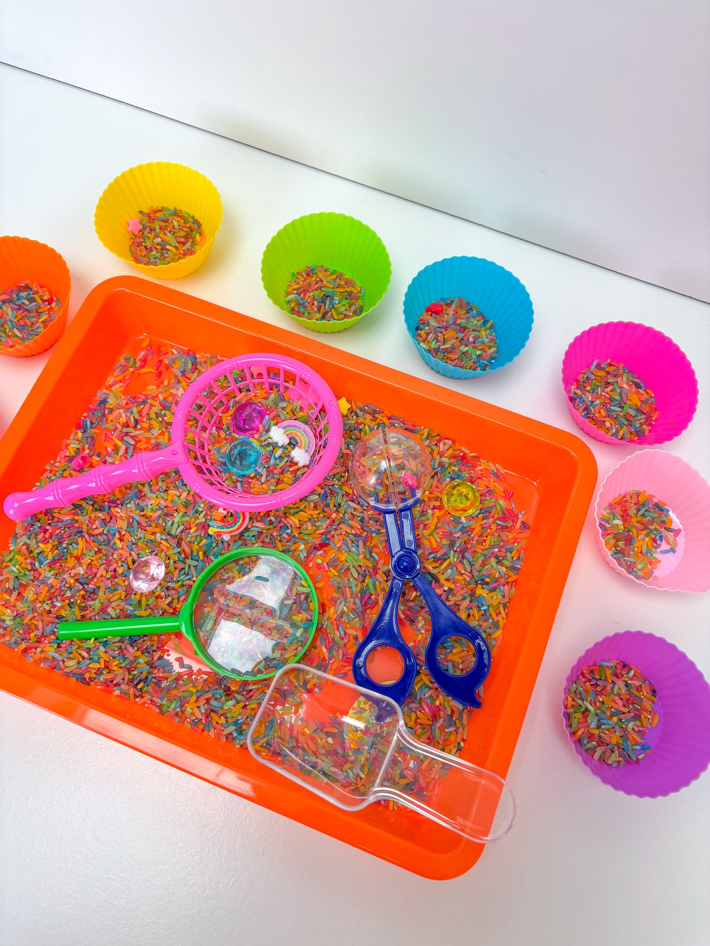 Rainbow Rice Set